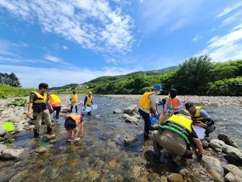 年間約20種類の自然体験を運営します