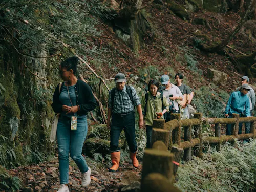 ・行なっている林業ツアーの写真