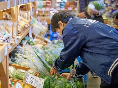 農業のみならず飲食店、小売店レジなどサービス業や、介護業、ホテル業のお仕事も