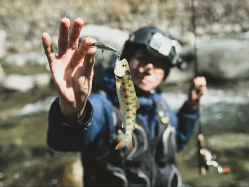 渓流釣りのメッカとして、県外からも釣り客が訪れる