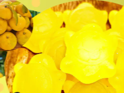 ゆずのぐみ原料と製品