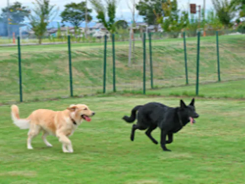 道の駅 ドッグラン