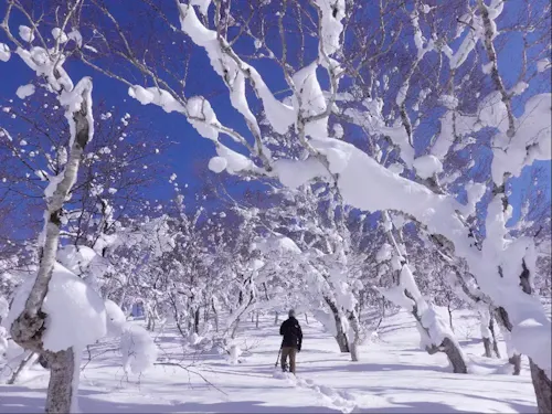 オロフレ峠の樹氷