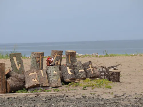 海へのアクセスも抜群です。漁港では釣り、ビーチでは海水浴を楽しむことができます。