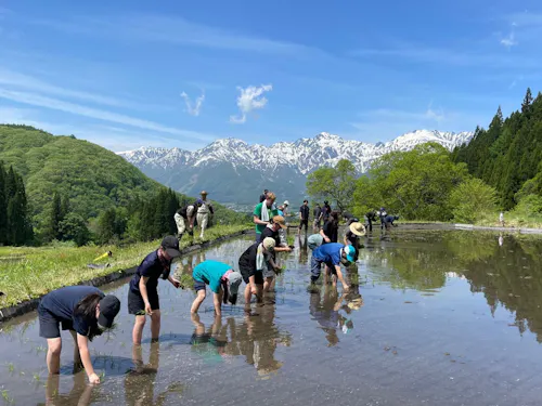 青鬼棚田での田植え