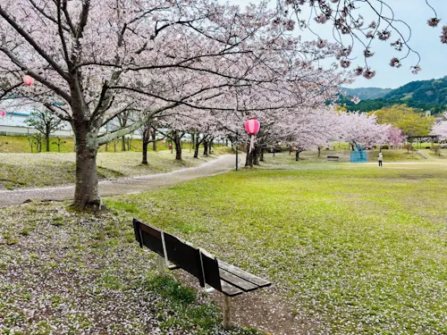 じゅらくの里。ベンチや芝生もあり、ピクニックにぴったりです