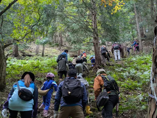 村の森林ツアー。移住者も村民も一緒に山を歩きます