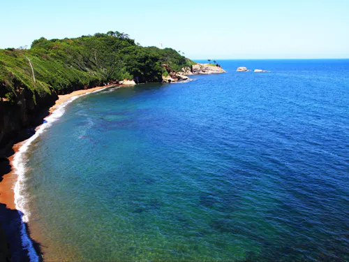 食生活の質を底上げするカニやブリ、カキ、サザエ、メギス、ハタハタといった海鮮。