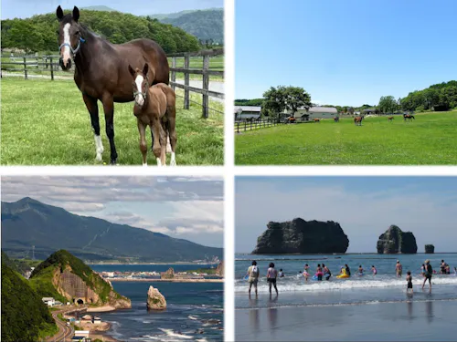 のどかな牧場の中で馬と触れあい、休日はアポイ岳登山🗻や海水浴場で海水浴🌊