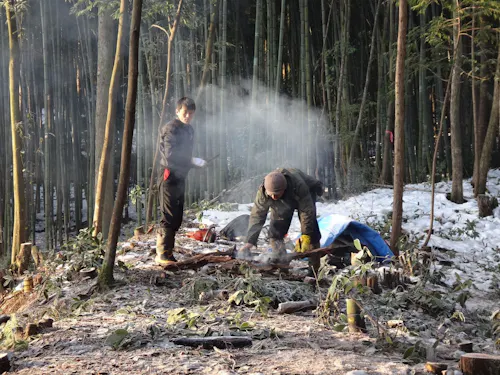 冬の朝の仕事始め