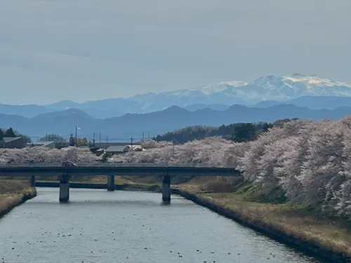 城下町から見た白山