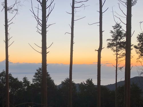 山の頂上にあるので景色も素敵です