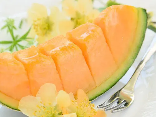 苫前メロンは日本最北のメロン産地としてブランド化を目指しています。