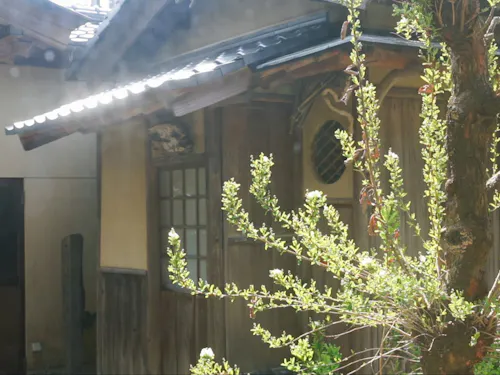 中庭に建つ茶室