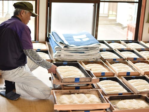 3日目 出来上がった糀