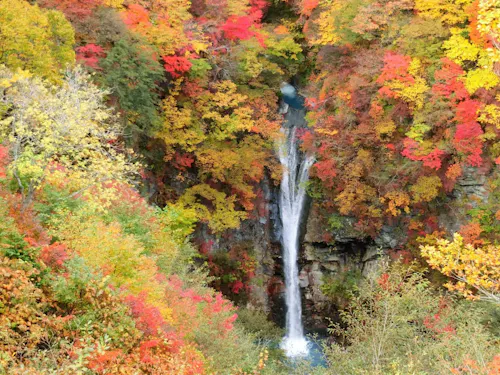 那須高原の紅葉
