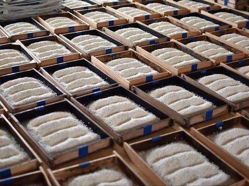 100年分の微生物が棲みついている木枠のジュウが美味しい糀を作ります