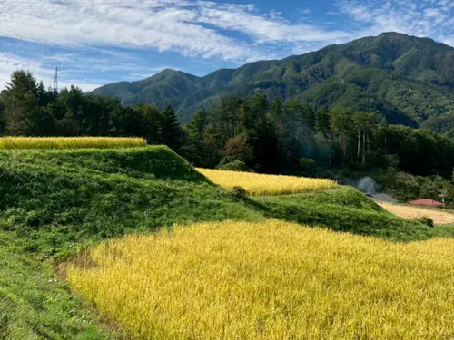 棚田百選にもなっている中尾の棚田