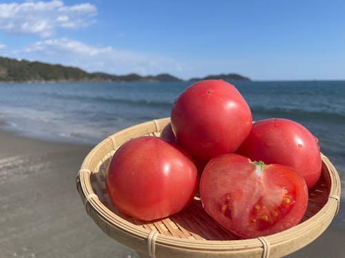 味もバツグンな生見オーガニックトマト