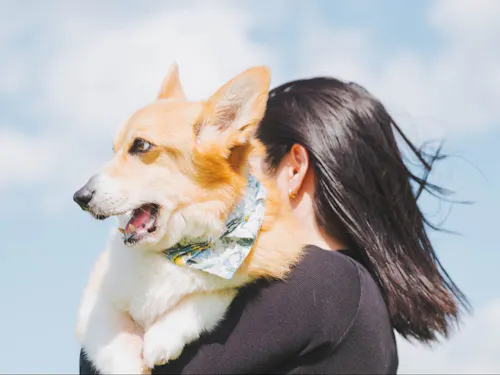 ■ゲスト：村上 桃子さん（富岡市）