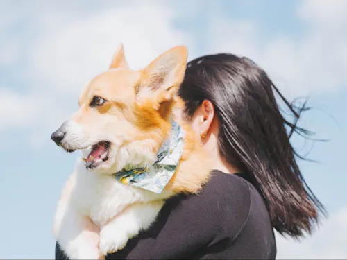 ■ゲスト:村上 桃子さん(富岡市)