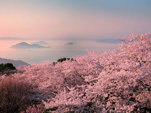 「憧れの旅行先」としてニューヨークタイムズに取り上げられた紫雲出山