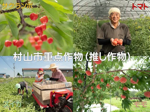 サクランボ、モモ、スイカ、トマト。多様な作物を経験できる地。