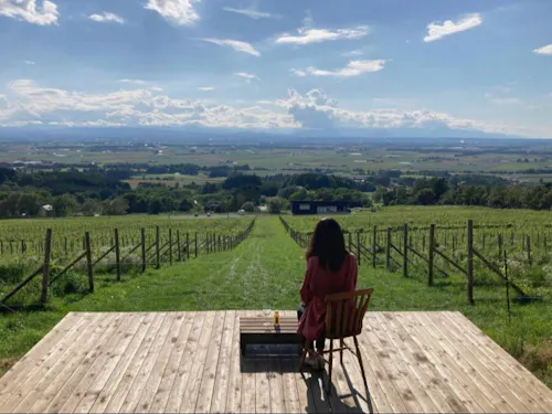 絶景テラス「MAOI SALUD」　町の丘陵地帯からの風景です！