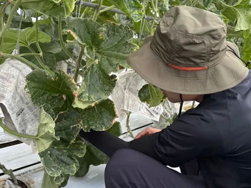 暮らしの中にある、手仕事