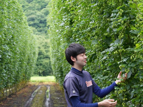 若手ホップ農家の中里さん