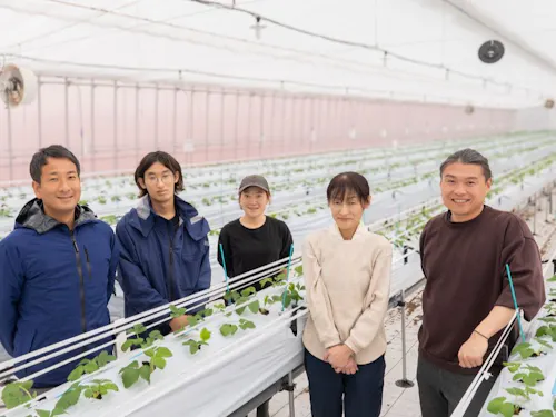 広くて綺麗なイチゴハウス!この美味しさをあなたの発信で全国へ届けましょう。