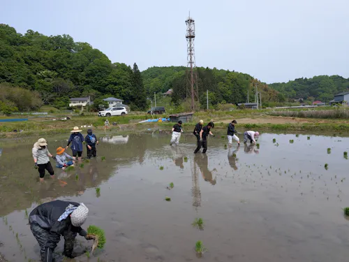 【田植え】地域の暮らし体験