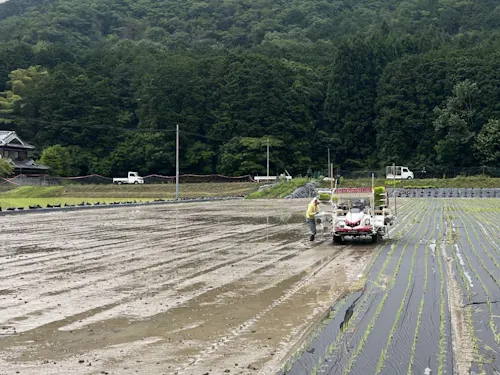 田植えの場所