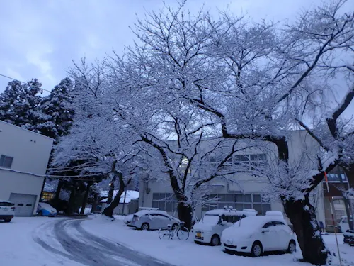町中心部の12月の雪の様子