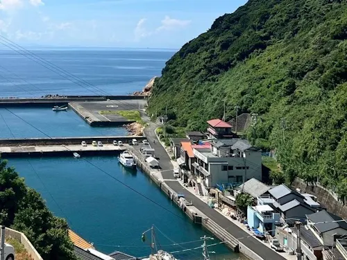 宿泊先の母島地区