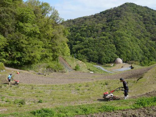 棚田の風景