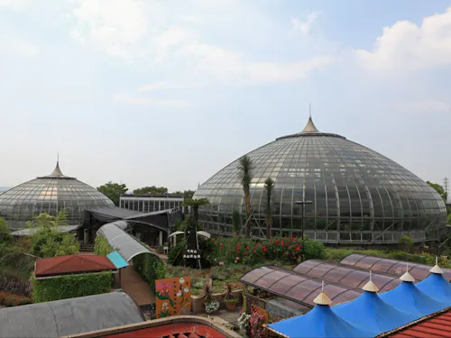 温室植物園(手柄山平和公園)