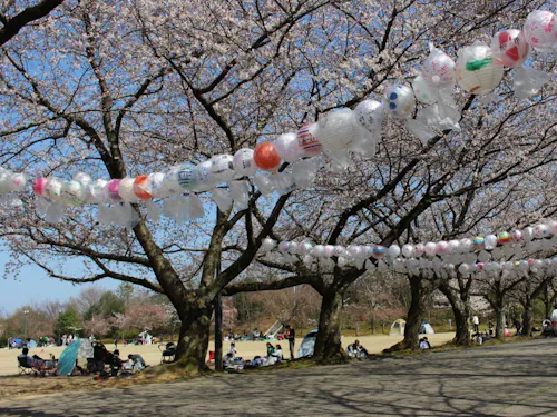 子どもたちの遊び場「加賀市中央公園」