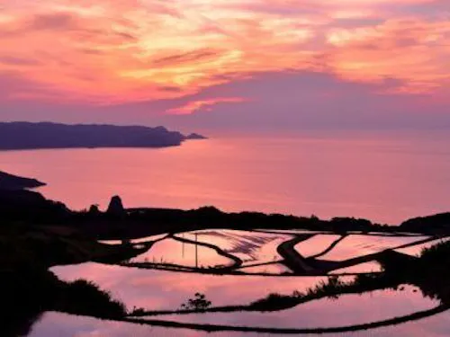 ▲棚田から望む、夕日が沈む日本海