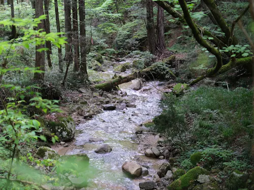 中山道を目当てに訪れる海外の方も。