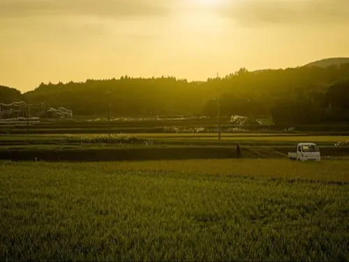 島の夕暮れ時