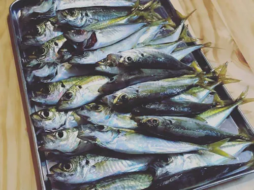 畑をしたり、ご近所さんからおすそ分けをいただいたり。食べ物がおいしくて幸せです