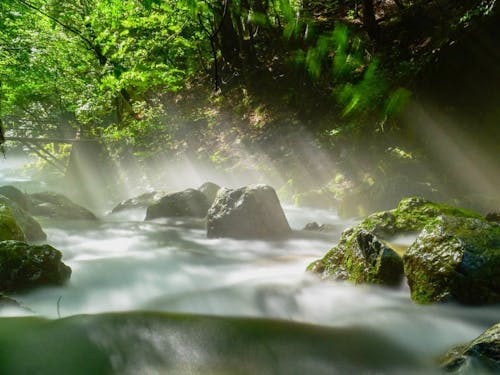 芹川や河内風穴は絶景が楽しめる避暑地です