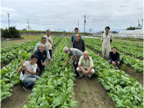 かぶらの畑と農業者