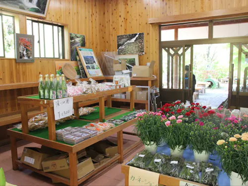 直売所では、地域のお土産や季節の花が並びます