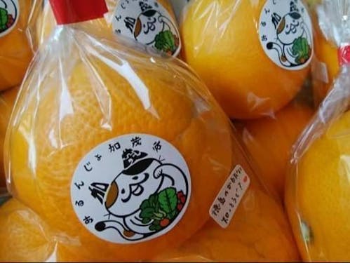 かわいいロゴシールを支給されるよ