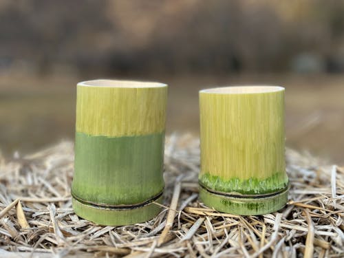 名草セミナーハウス(竹コップ制作)