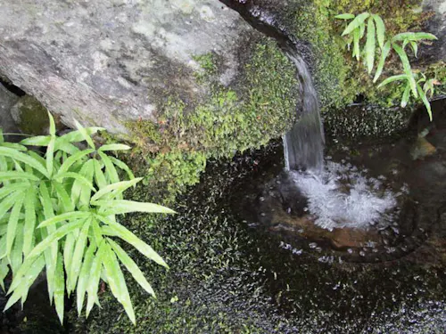 神河町の名産品を育む、山々に磨かれた清らかな湧き水