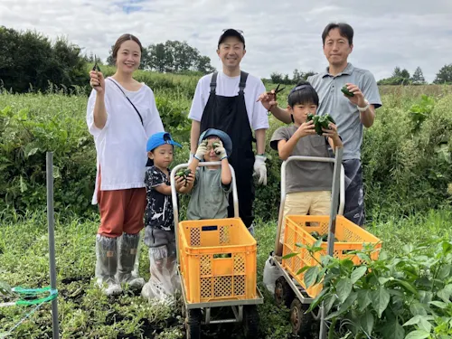 野菜の収穫体験