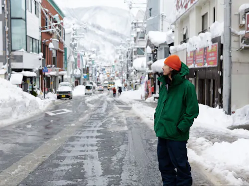 雪道はこんな感じですが、消雪パイプと最強除雪隊がいます。